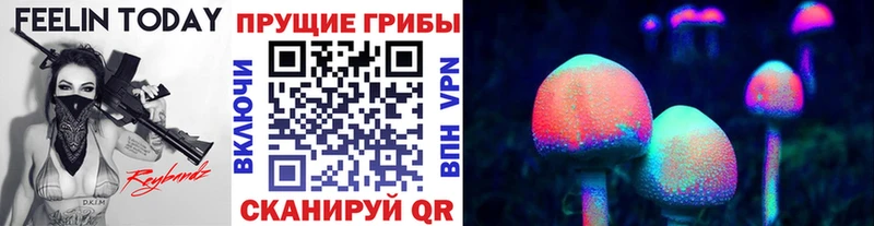Галлюциногенные грибы Psilocybe  MEGA   Малаховка 
